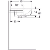 Pesuallas Geberit Variform Keratect 550x450x185 mm - KarelianStore